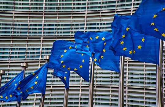blauwe vlaggen met logo van EU (cirkel met sterren)