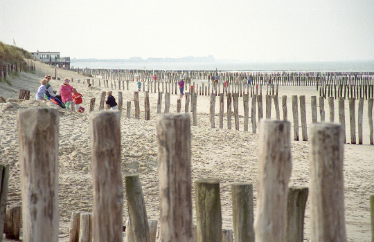 Paalhoofden op het strand om de eb- en vloedstroom uit de kust te houden