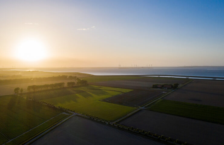 Polderland schap aan riviernonding bij zee met windmolens op de achtergrond bij zonsondergang.