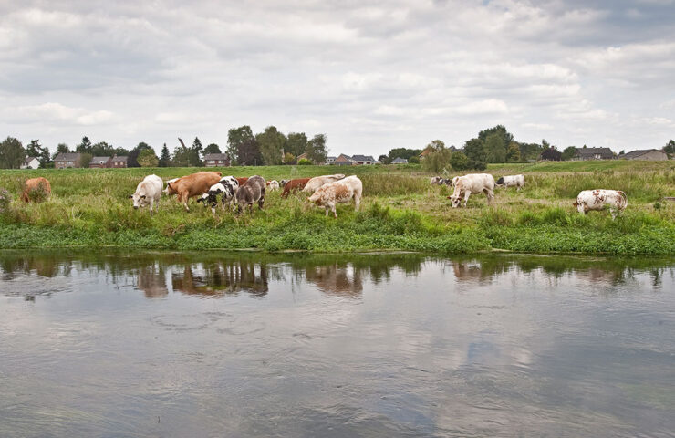 waterkwaliteit-landbouwgebieden-unie-van-waterschappen